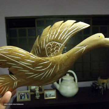 DSCF3997